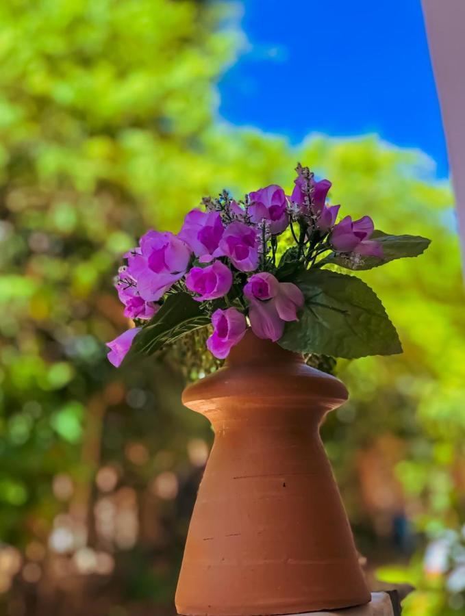 Pousada Vila Do Sossego مورو دي ساو باولو المظهر الخارجي الصورة
